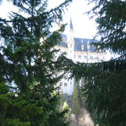 Neuschwanstein  Picture 120.jpg